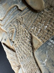 DETAILED ANCIENT N-EASTERN STONE FRAGMENT DEPICTING WINGED GENIE C 800-700 BC