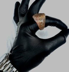 300 BC Authentic Ancient Roman hololith Ring Engraved Gemstone Lion MUSEUM GRADE