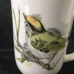 Vintage 1976 ENESCO Song Bird 10 oz. Mug YELLOW WARBLER Fine China Slim