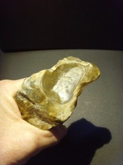 Lower Paleolithic – Fine Acheulean end scraper. c.450,000 BP.
