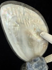 Jamie Dietrich Designs 1-of-a-kind Hand Crafted Sea Life & Stone On Glass Bottle