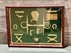 Vintage Brass Equestrian Shadowbox 6.5×12 Framed Horse Bit Display Decor
