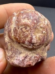 Ancient Old Near Eastern Antiques Bactrian Jasper Stone Small Will Animal