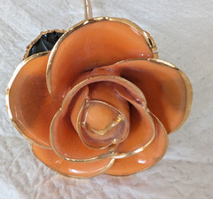 Steven Singer Orange Real Rose Preserved & Dipped in 24kt Gold