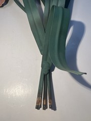 Vintage Toleware Metal Iris Pair