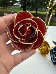 gold dipped rose steven singer