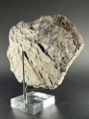 ANCIENT ASSYYRIAN BLACK STONE FRAGMENT DEPICTING KING RULER – CIRCA 3000 BCE
