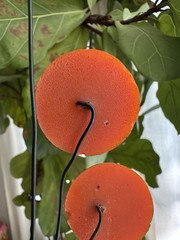 Vintage Lucite Triple Smiley Face Sculpture – Orange – Missing Flowers- RARE