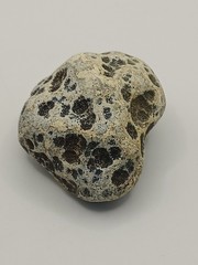 Natural Dalmatian Stone Raw Jasper rock perfect for mineral healing