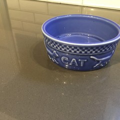 Longaberger Pottery Mulligan Cornflower BLUE CAT BOWL Made in USA 5″