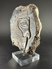 ANCIENT ASSYYRIAN BLACK STONE FRAGMENT DEPICTING KING RULER – CIRCA 3000 BCE