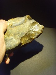 Lower Paleolithic – Fine Acheulean cleaver/scraper c.450,000 BP.