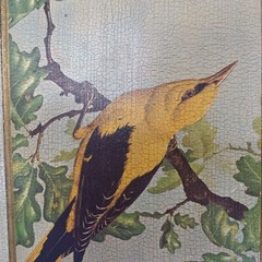 Pair of Vintage Basil Ede Bird Plaques-Gilt on Wood-Made in Italy-16 x 12-1940’s