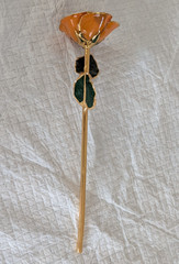 Steven Singer Orange Real Rose Preserved & Dipped in 24kt Gold