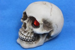 Small Ceramic Human Skull Realistic Occult Gothic Decor Display Oddity