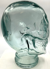 Aqua Blue Life-Size Glass Human Skull Mannequin Head Halloween Horror Goth Jar