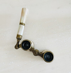Antique Clomont Paris Victorian Mother of Pearl Brass Glasses Binoculars Handle