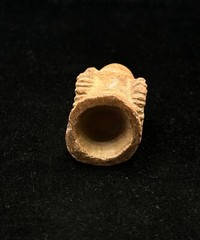 Unique Ancient Achaemenid Period Small Stone Ram Rhyton