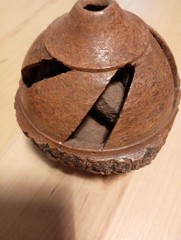 Unusual Hand Carved Brazil Nut Seeds Inside