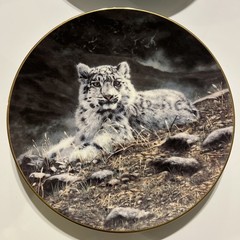 Charles Fracé Wild Innocents COMPLETE Set 4 Plates Lion Tiger Leopard Cheetah