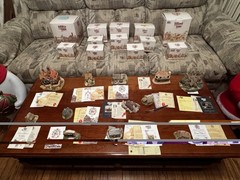 Lilliput Lane Complete 12-Cottage Collection w/ Boxes & Deeds Rare Retired Lot
