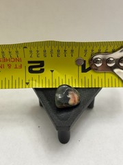 Rare Tumbled Ocean jasper Gem Stone Mineral Gemstone