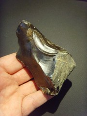 Lower Paleolithic – Faceted Acheulean scraper. c.450,000 BP.
