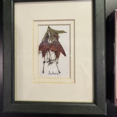 PRESSED DRIED Flowers Of Ireland By Breda Hayden & Irish Blessing ornament