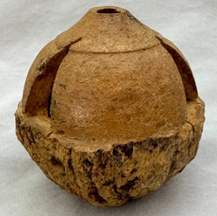Vintage Brazil Nut Pod Folk Art Shaker Rattle Ornament