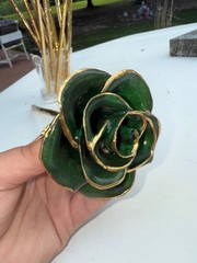 gold dipped rose steven singer