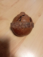 Unusual Hand Carved Brazil Nut Seeds Inside