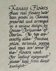 Gold Toned Wood Frame Press Flowers Gallery Wall Signed Louise Toluemke Kansas