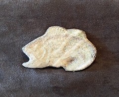 Jumping Large Mouth Bass Vintage Patch For The Outdoors And Fishing Enthusiast