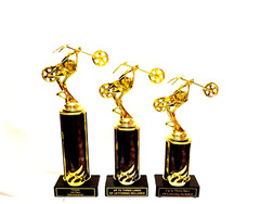 MOTORCYCLE TROPHY, BIKE AWARD, MOTORCYCLE SHOW CHOPPER 123 EIGHT COLORS