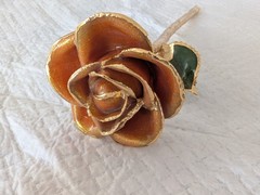 Steven Singer Orange Rose Preserved & Dipped in 24kt Gold ~ Sparkle Collection