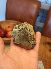 “Rare” lower Paleolithic multi platform core see description