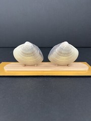 The Tale Of Genji 2 Japanese Painted Shells With Original Packaging And Box