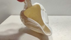 Belleek 4″ Swan Dish