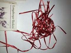 Over 100 Longaberger Miscellaneous Product cards, Etc.