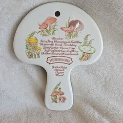 Vintage Weiss Mushroom Kitchen Decor Wall Plaque Hand Painted Brazil 1980 Kitchy