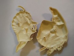 Vintage Pair Fish & Shells Burwood Wall Art Decor Hanging Bathroom 2882 Made USA