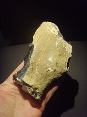 Lower Paleolithic – Finely worked Acheulean side scraper. c.450,000 BP.