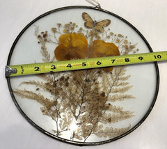 Silver Framed Round Dried Flowers & Butterfly Glass Hanging Window/Wall Decor
