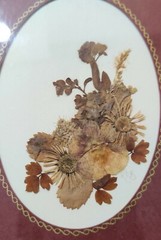 Pressed Real English Flowers Village Green Country Crafts Framed Art 12×6″ Sign