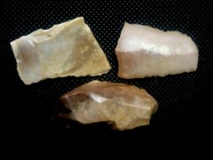 Lower Paleolithic Levallois technique.” Acheulian” 1.4MYA. The Eshelo-Yabrudic