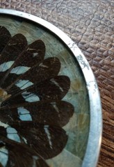 Vintage Butterfly Wing Art Trinket Dish Made In Brazil Wall Art Brown 4 3/4″