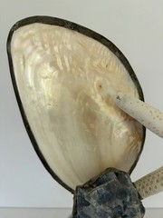 Jamie Dietrich Designs 1-of-a-kind Hand Crafted Sea Life & Stone On Glass Bottle