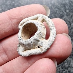 Celtic Lead Wheel Proto Money Antique Metal Detecting Find