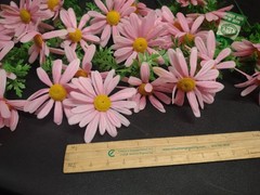 12 Stems Genuine 1960s Vintage Plastic Flowers – Marguerite Daisy 8 inches by 2″