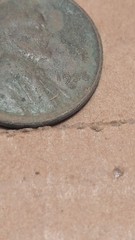 True Metal Detector Find Lot Of Junk From Old Driveway Tearout In Old Kcmo